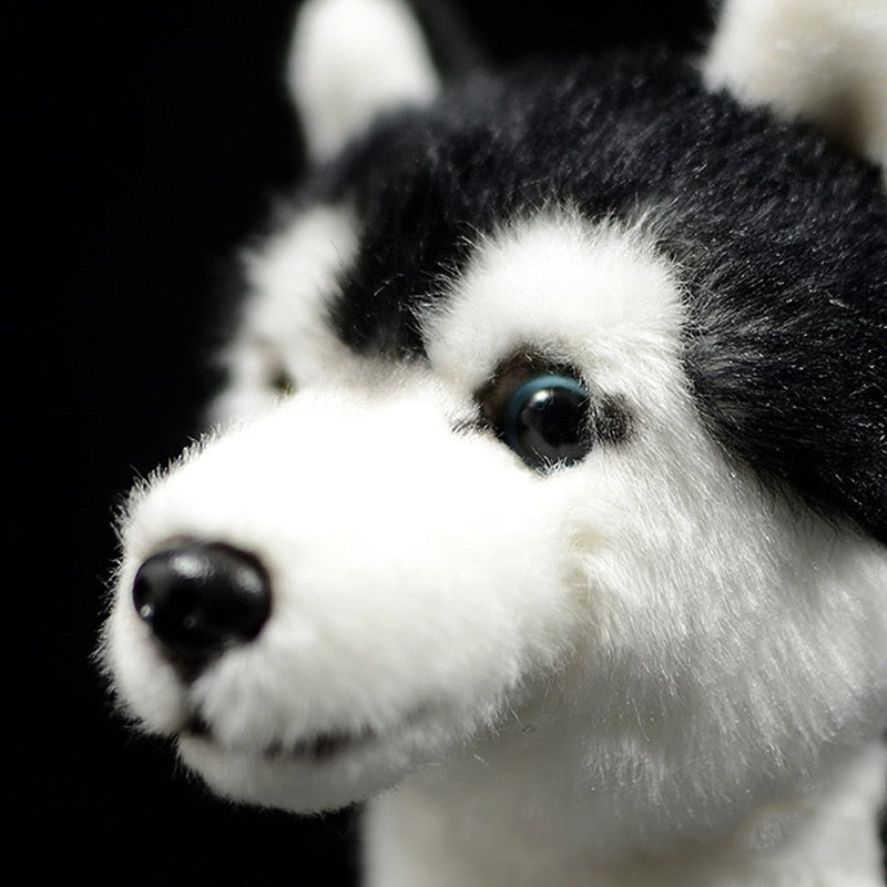 Siberian Husky Realistic Animal Stuffed Plush Toy
